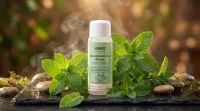 Produktbild von Sauna und Dampfduftbad Marok, Minze x B x T x H