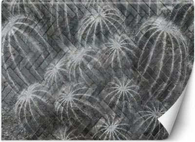 Produktbild von Vlies fototapete Kakteen in Grau 200x140 cm Feeby Grau inkl. Kleber einfache Montage