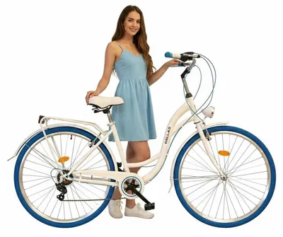 Zdjęcie produktu dla Rower Dallas City 28" 7spd - biały z niebieskim