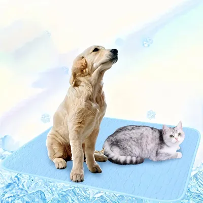 Produktbild von Hundematte 30 x 40 cm, blau, für Hundebett