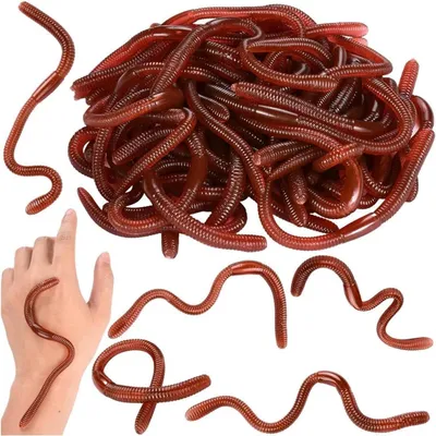 Imagen del producto de Gusano de juguete realista - Set de 10 - Juguete de plástico suave y flexible