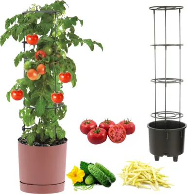 Produktbild von Tomatentopf, Tomatenpflanze Pflanzkübel, Topf zur Anzucht von Kletterpflanzen, Gemüsetopf, Übertopf, Gurken, Bohnen, Ø40 cm Rosa, Kunststoff + Einsatz mit hohem Rahmen