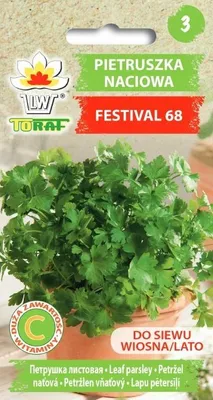 Obrázok produktu pre Petržlen FESTIVAL 68 semien 339 Toraf