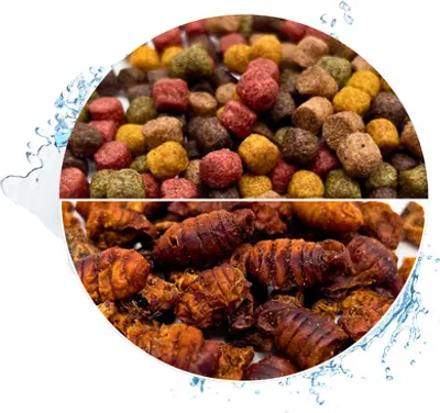 Produktbild von WTS Koifutter 10-Sorten Mix mit Spirulina & Paprika - 15 Liter + 1 Liter Seidenraupen 6 mm