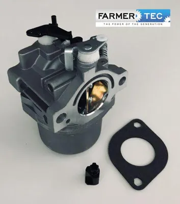 Produktbild von Briggs&Stratton Vergaser 495706 498027 498231 499161 799728 Farmerte 495706, 498027, 498231, 499161, 799728