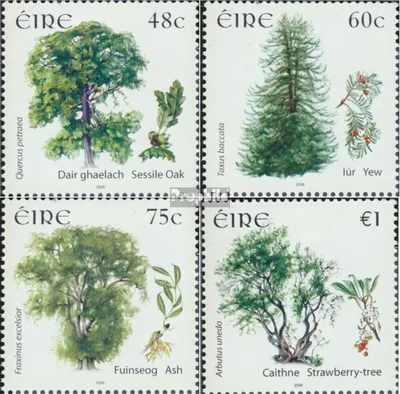 Produktbild von Briefmarken Irland 2006 Mi 1695-1698 (kompl.Ausg.) postfrisch Bäume