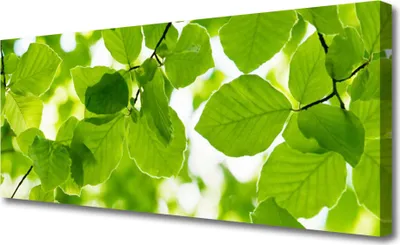 Produktbild von Tulup Leinwand-Bilder 125x50 Wandbild Canvas Kunstdruck Blätter Pflanzen