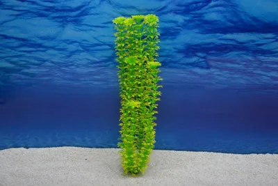 Produktbild von Amtra Cabomba XL 36cm – Künstliche Pflanze für Aquarien-Dekoration
