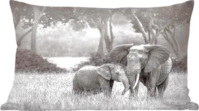 Produktbild von MuchoWow® Zierkissen Sofakissen Wohnzimmer Dekokissen 50x30 cm Elefant - Tiere - Natur - Schwarz und weiß - Wohnzimmerdekoration - Polster mit Photo