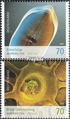 Produktbild von Briefmarken BRD (BR.Deutschland) 2015 Mi 3192-3193 (kompl.Ausg.) gestempelt Mikrowelten