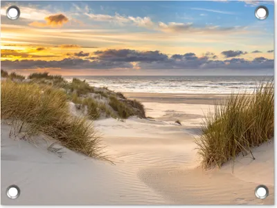 Produktbild von MuchoWow® 40x30 cm Outdoor-Poster Gartendeko Sichtschutz Garten Poster für den Garten  Strand - Düne - Gras - Sonnenuntergang - Meer
