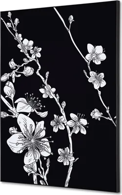 Produktbild von Showdown Spannstoff Wanddekoration -  DIN A2 - Japanische Kirschblüte Schwarz - Schwarzer Rahmen