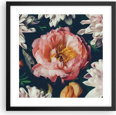 Produktbild von Gerahmtes Poster - Schwarzer Rahmen - Blumen Pfingstrose Holzig - 40x40 cm - Wand Bild - Wanddeko - Wandbilder - Kunstposter - Wandposter - Bilderrahmen - Bilder - Kunstdruck - P2BAC40x40-4661