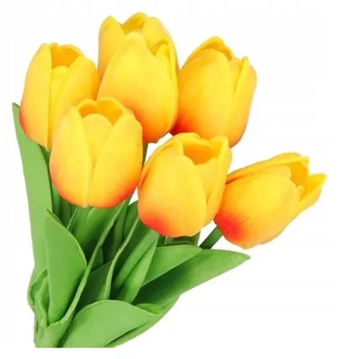Produktbild von TULPENBÜSSEL: EINEN BÜSSEL TULPEN. Gummibearbeitete Tulpen, aus Gummi, Silikon. Wie lebendig