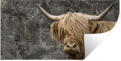 Produktbild von MuchoWow® Wandtattoo Wandsticker Wandaufkleber Schottischer Highlander - Weltkarte - Tiere 160x80 cm Selbstklebend und Repositionierbar - Sticker - Dekorfolie