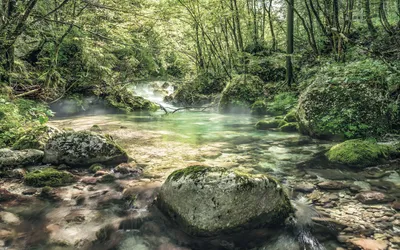 Produktbild von Sanders & Sanders Fototapete Landschaft Grün 400 x 250 cm