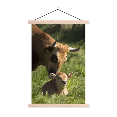 Produktbild von MuchoWow® Textilposter Kuh - Gras - Horn - Kalb 60x90 cm mit holzfarbenen Rahmen - Textil