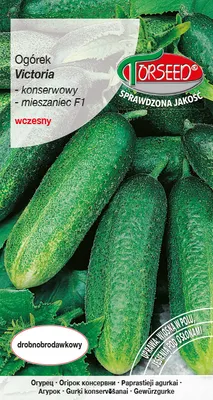 Produktbild von Seeds of Victoria F1 5g Dosengurke gemahlen - Torseed