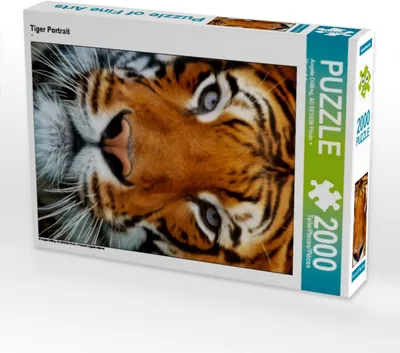 Produktbild von CALVENDO Puzzle Tiger Portrait | 2000 Teile Lege-Größe 90x67cm Foto-Puzzle für glückliche Stunden