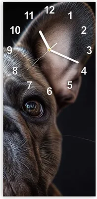 Produktbild von Wanduhr aus Glas mit Motiv Bulldoggenportrait- 30 x 60 cm - inkl. Aufhängesystem