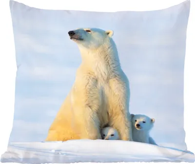 Produktbild von MuchoWow® Zierkissen Sofakissen Wohnzimmer Dekokissen 45x45 cm Eisbär - Schnee - Jungtiere - Schlafpolster - Polster für das Sofa