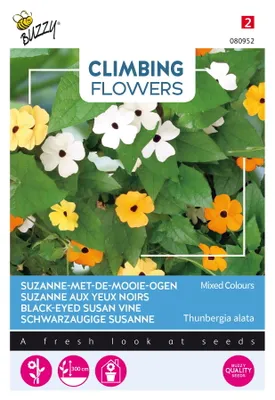 Produktbild von Buzzy Climbing Flowers Thunbergia Mischung Samen - Ca. 0,5 gr | Buzzy_080952
