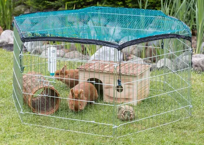 Produktbild von TRIXIE Freilaufgehege mit Schutznetz - diverse - ø 126 × 58 cm