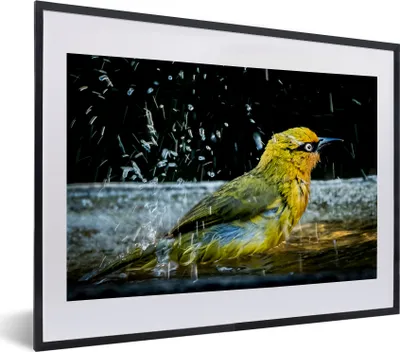 Produktbild von MuchoWow® MuchoWow® Gerahmtes Poster Vogel - Vogeltränke - Wasser 40x30 cm - Poster mit zchwarzem Bilderrahmen - Bilderrahmen - Poster im Rahmen