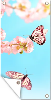 Produktbild von MuchoWow® 80x160 cm Outdoor-Poster Gartendeko Sichtschutz Garten Poster für den Garten  Schmetterlinge - Baum - Blumen