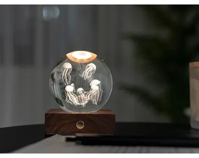 Image de Gingko, éclairage en cristal de Bernstein, méduses