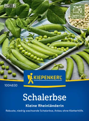 Produktbild von Kiepenkerl Saatgut Schalerbsen Kleine Rheinländerin für ca. 2,4 – 4 m²