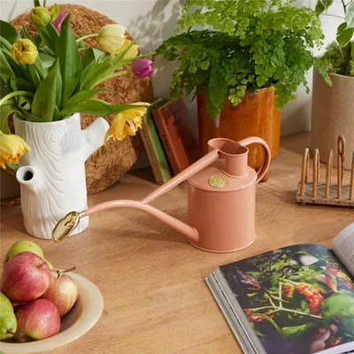 Obrázok produktu pre Ružová kanvička 1l