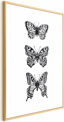 Produktbild von Posterpapier Poster - Three Butterflies 40x60 cm Tiere g-B-0116-ao-a