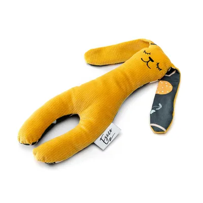 Image de T-TOMI Mon premier lapin Amis animaux