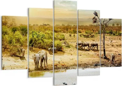 Produktbild von Bild auf Leinwand - Leinwandbild - Safari Tiere - 150x100cm - Wand Bild - Wanddeko - Wandbilder - Leinwanddruck - Bilder - Kunstdruck - Wanddekoration - Leinwand bilder - Wandkunst - EA150x100-3880