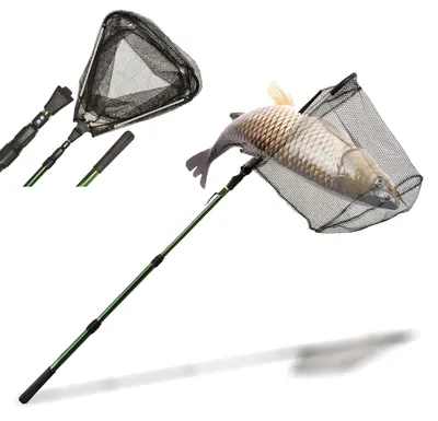 Immagine prodotto di Retino da pesca telescopico, pieghevole ed estendibile da 1,5 a 2 m