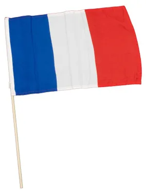 Produktbild von Offiziell lizenzierte Frankreich Fahne mit Stock 30x45 cm