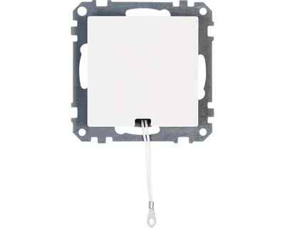 Produktbild von Kopp 295829001, Weiß, 1 Stück(e), 250 V, 10 A