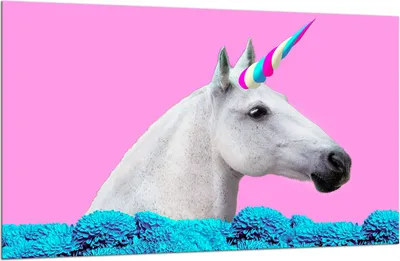 Produktbild von Herdabdeckplatte Glaskeramikkochfeld-Abdeckung Spritzschutz Glas 80x52 Einhorn