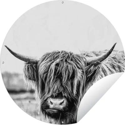 Produktbild von MuchoWow® Gartenposter Outdoor-Poster Rund Scottish Highlander - Gras - Schwarz - Weiß Ø 150 cm Gartendeko Rundes Poster draußen