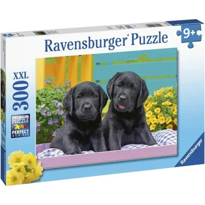 Produktbild von Ravensburger 12950, 300 Stück(e), 9 Jahr(e)