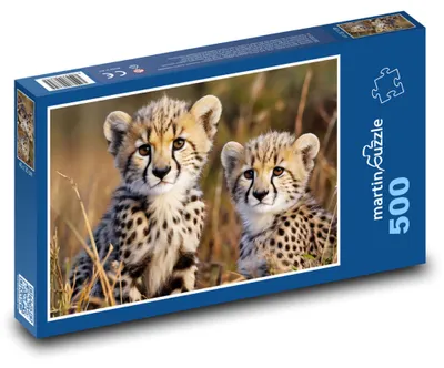 Produktbild von Puzzle 500 Gepardenjunge in der Savanne - martinpuzzle