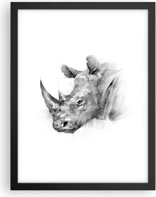 Produktbild von Gerahmtes Poster - Schwarzer Rahmen - Nashorn Porträt Grafik - 30x40 cm - Wand Bild - Wanddeko - Wandbilder - Kunstposter - Wandposter - Bilderrahmen - Bilder - Kunstdruck - P2BPA30x40-4378