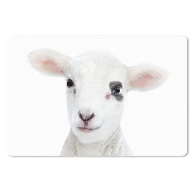 Produktbild von MuchoWow® Schreibtischunterlage Lamm - Weiß - Tiere - Natur 60x40 cm - XXL Mauspad - Großes Mauspad