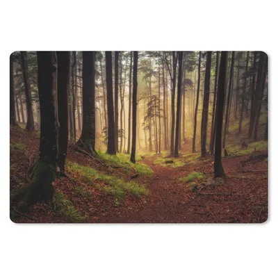 Produktbild von MuchoWow® Schreibtischunterlage Bäume - Natur - Wald 60x40 cm - XXL Mauspad - Großes Mauspad