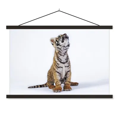 Produktbild von MuchoWow® Textilposter Tiger - Jungtier - Weiß 60x40 cm mit schwarzem Rahmen - Hölzernes