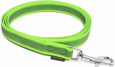 Produktbild von Mystique® Gummierte Leine 20mm ohne Handschlaufe Standard Karabiner neon grün 2m