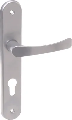 A silver door handle set with a long backplate and a keyhole.