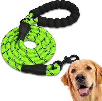 Produktbild von Hundeleine, starke Leine mit gepolstertem Griff für kleine, mittlere und große Hunde, (150 cm)