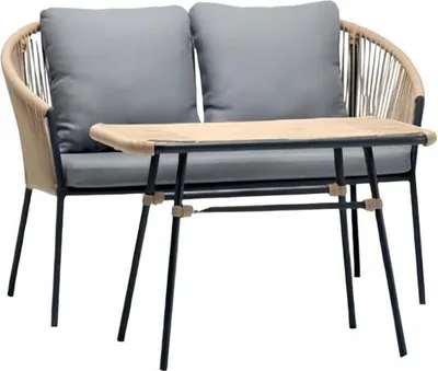 Image de Ensemble Canapé 2 places Gris Table basse Canapés Rotin Table basse de luxe Moderne